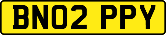 BN02PPY