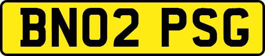 BN02PSG