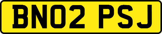 BN02PSJ