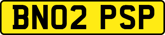 BN02PSP