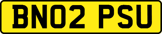 BN02PSU