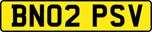 BN02PSV