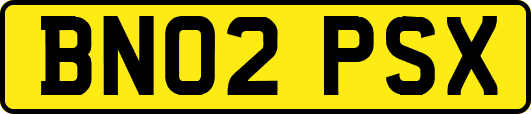BN02PSX