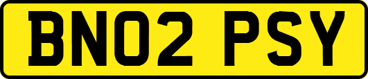 BN02PSY
