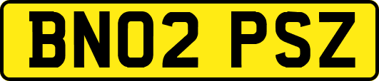 BN02PSZ