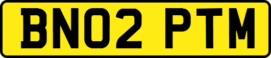 BN02PTM