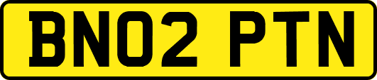 BN02PTN