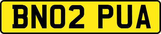 BN02PUA