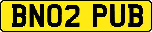 BN02PUB