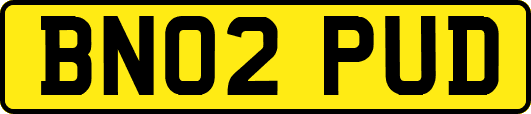 BN02PUD
