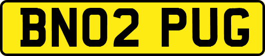 BN02PUG