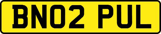 BN02PUL