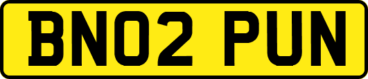 BN02PUN
