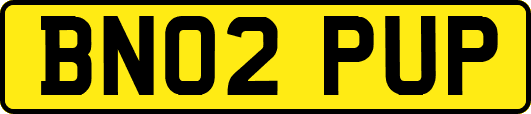 BN02PUP