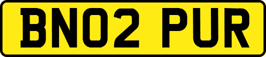BN02PUR