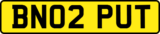 BN02PUT