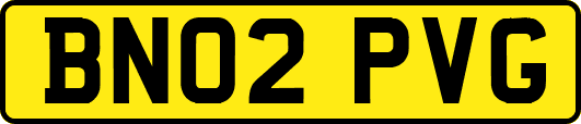 BN02PVG