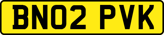 BN02PVK