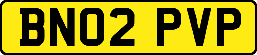 BN02PVP