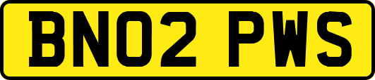 BN02PWS