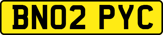 BN02PYC