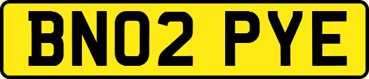 BN02PYE