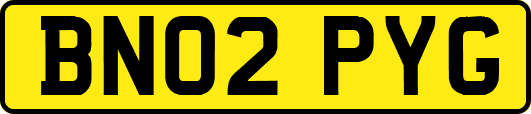 BN02PYG