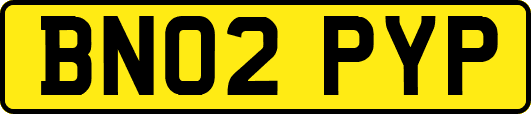BN02PYP
