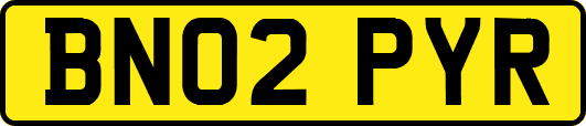 BN02PYR
