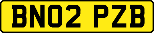 BN02PZB