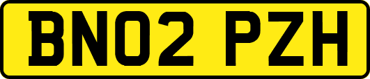 BN02PZH