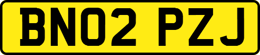 BN02PZJ