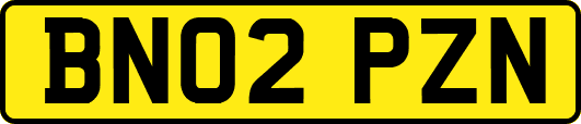 BN02PZN