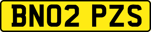 BN02PZS