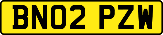 BN02PZW