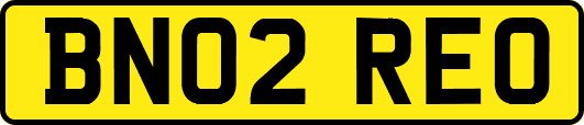 BN02REO