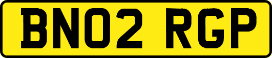 BN02RGP