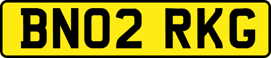 BN02RKG
