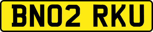 BN02RKU