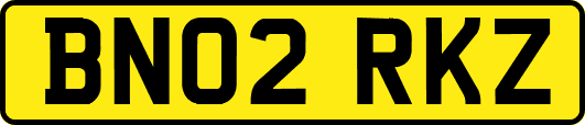 BN02RKZ