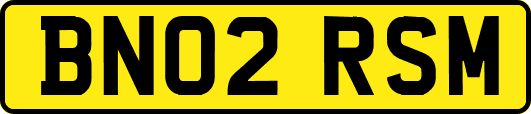 BN02RSM