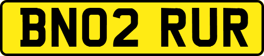 BN02RUR