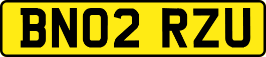 BN02RZU