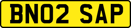 BN02SAP