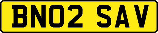 BN02SAV