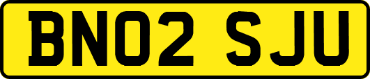 BN02SJU