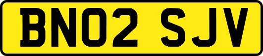 BN02SJV