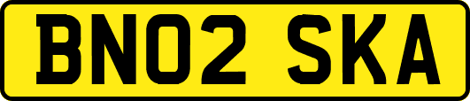 BN02SKA