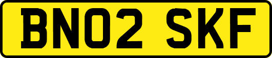 BN02SKF