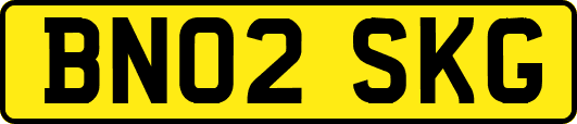 BN02SKG